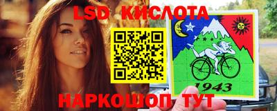 прущие грибы Новокубанск