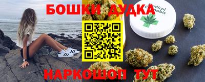 прущие грибы Новокубанск