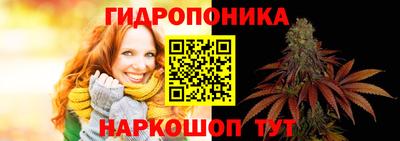 амф Новозыбков