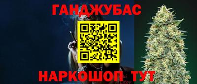 амф Новозыбков