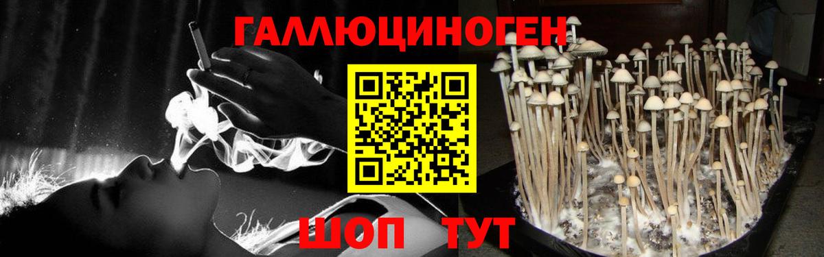 Галлюциногенные грибы Psilocybe  Вход с VPN  Галлюциногенные грибы ЛСД  Углич 